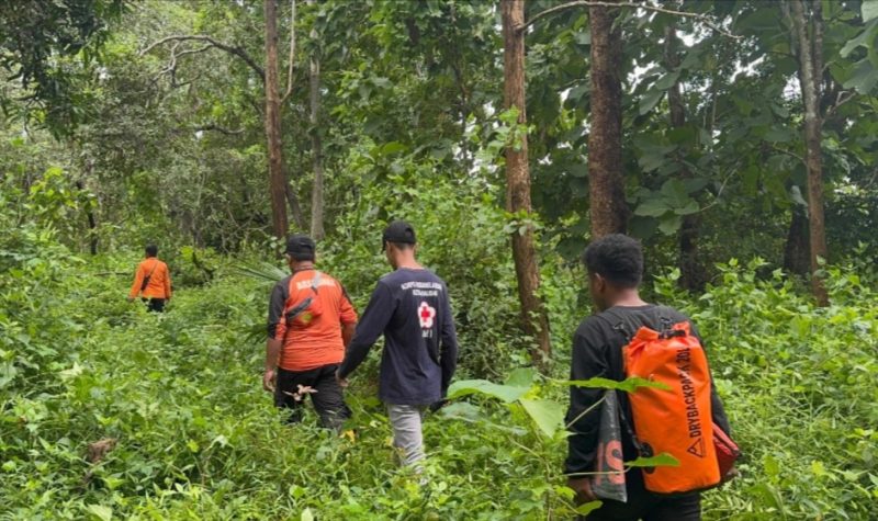 Tim SAR Gabungan saat melakukan pencarian Wanita Lansia di Buton Selatan yang hilang di hutan, Jum'at (7/2/2025). 