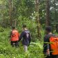 Tim SAR Gabungan saat melakukan pencarian Wanita Lansia di Buton Selatan yang hilang di hutan, Jum'at (7/2/2025). 